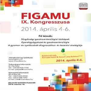 FIGAMU_IX_plakat